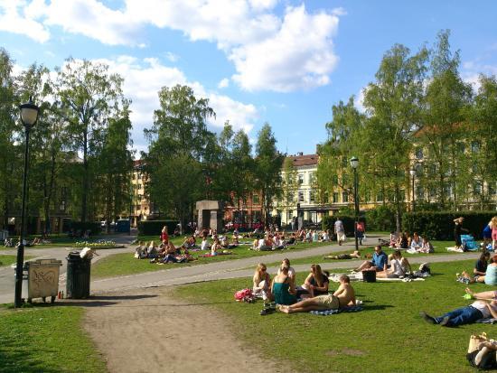Birkelunden